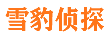 宁津私家调查公司